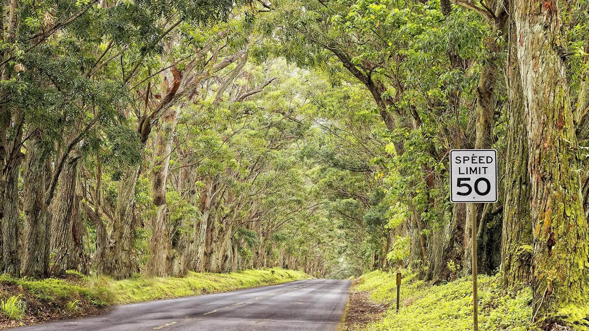 Holiday home Waikomo Stream Villas 530 Koloa United States