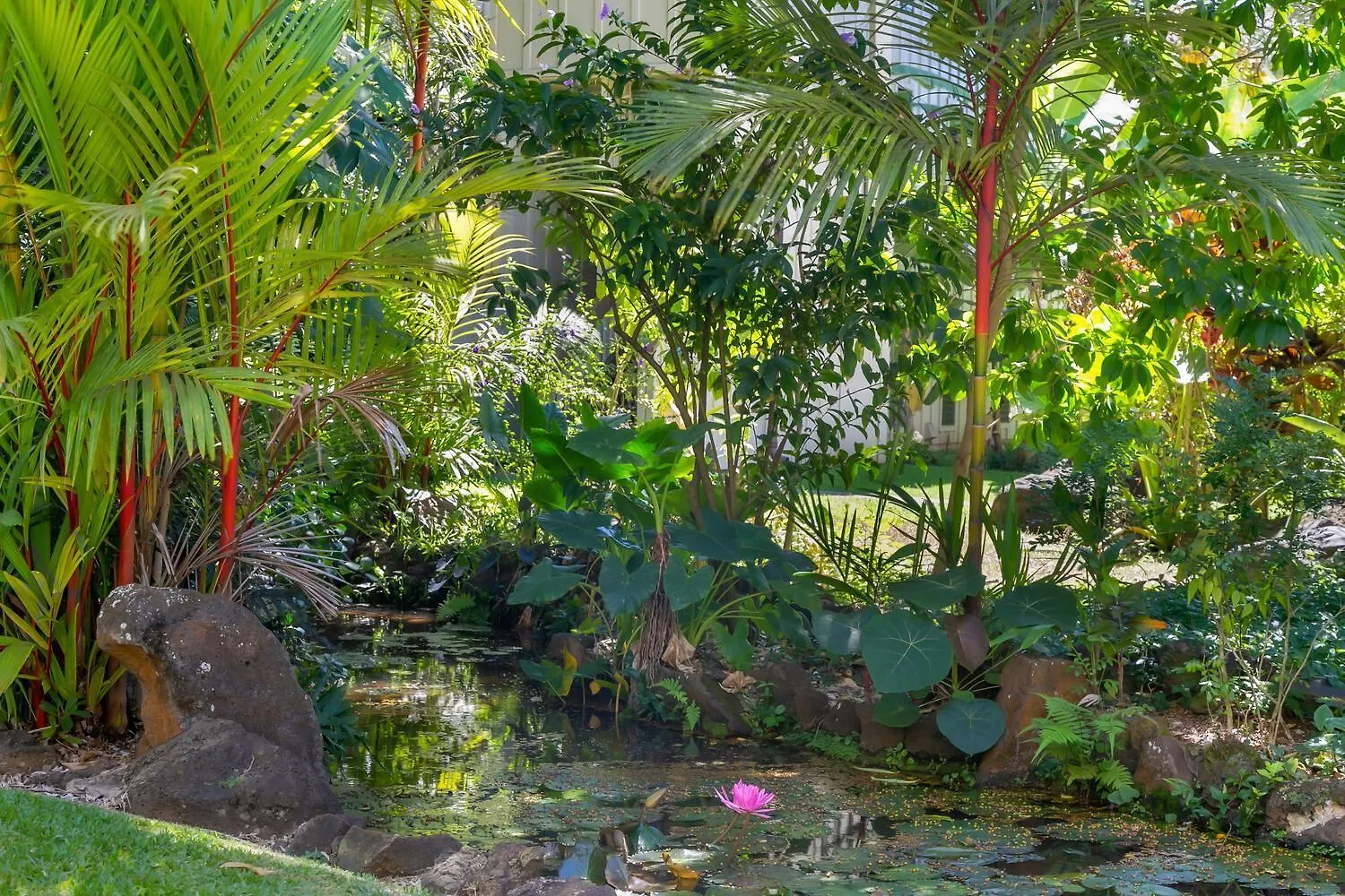 Holiday home Waikomo Stream Villas 530 Koloa United States